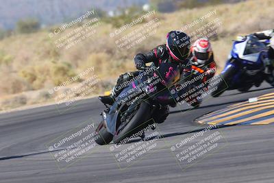 media/Nov-11-2023-SoCal Trackdays (Sat) [[efd63766ff]]/Turn 16 (11am)/